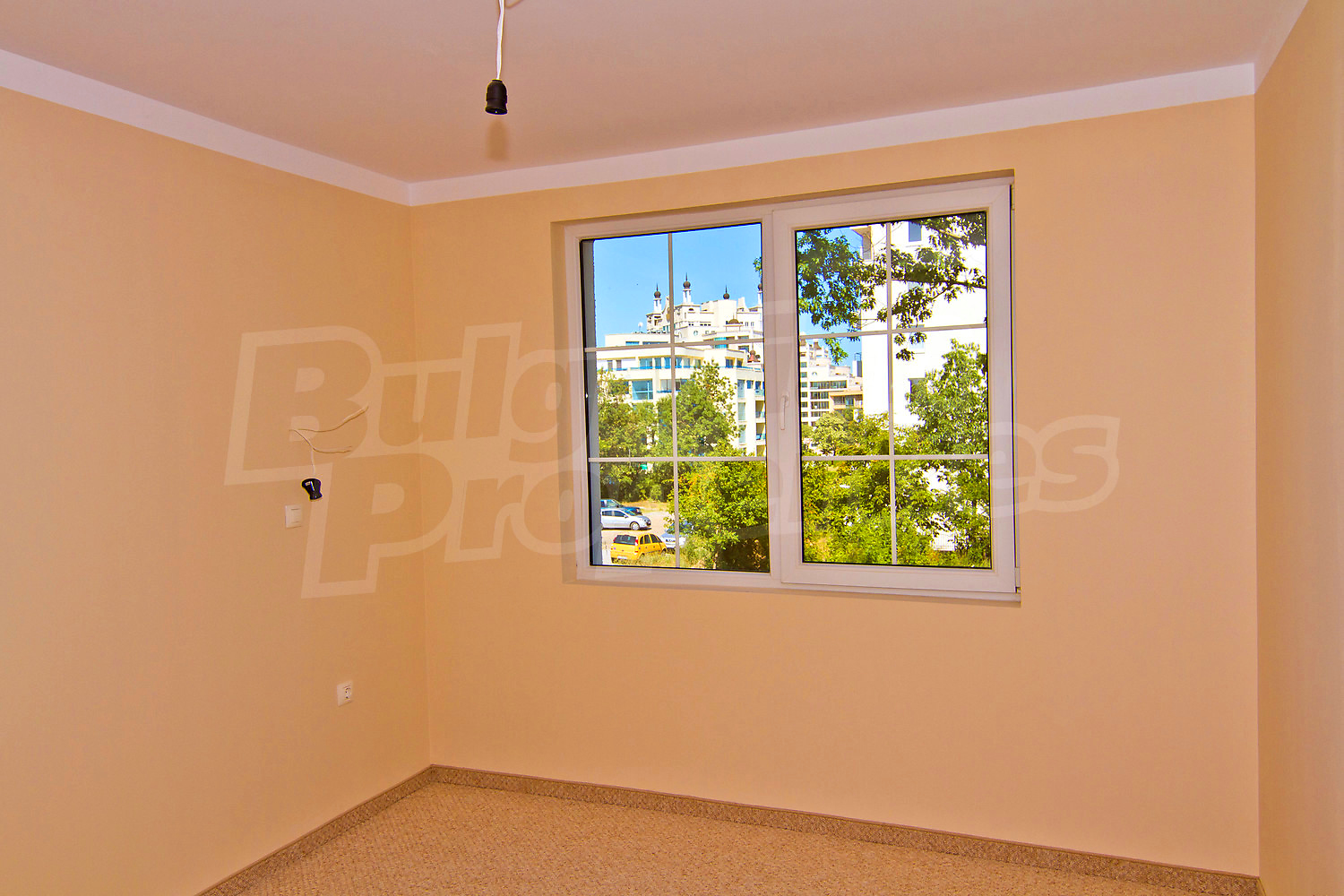 Gallery Picture 14