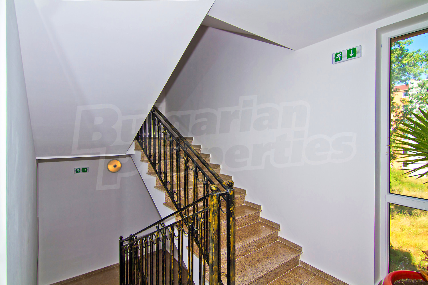 Gallery Picture 22