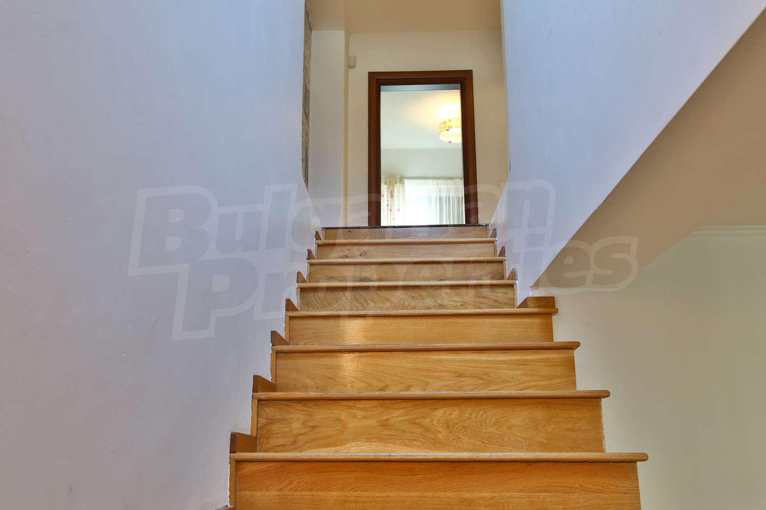 Gallery Picture 13