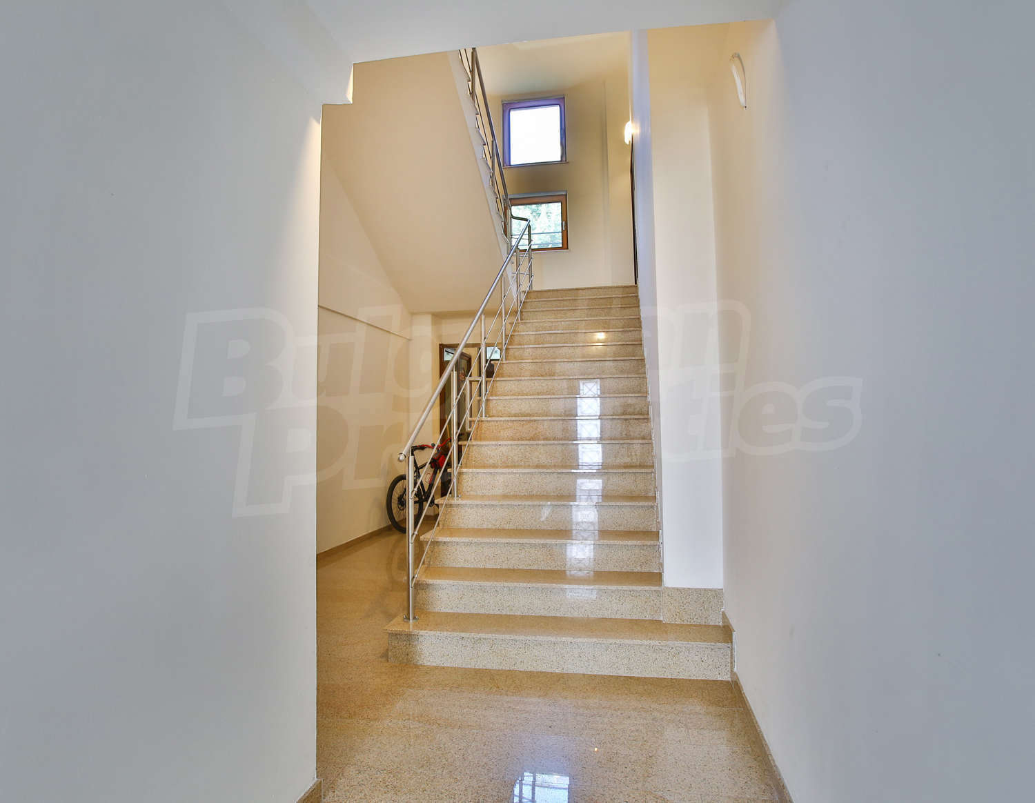 Gallery Picture 23