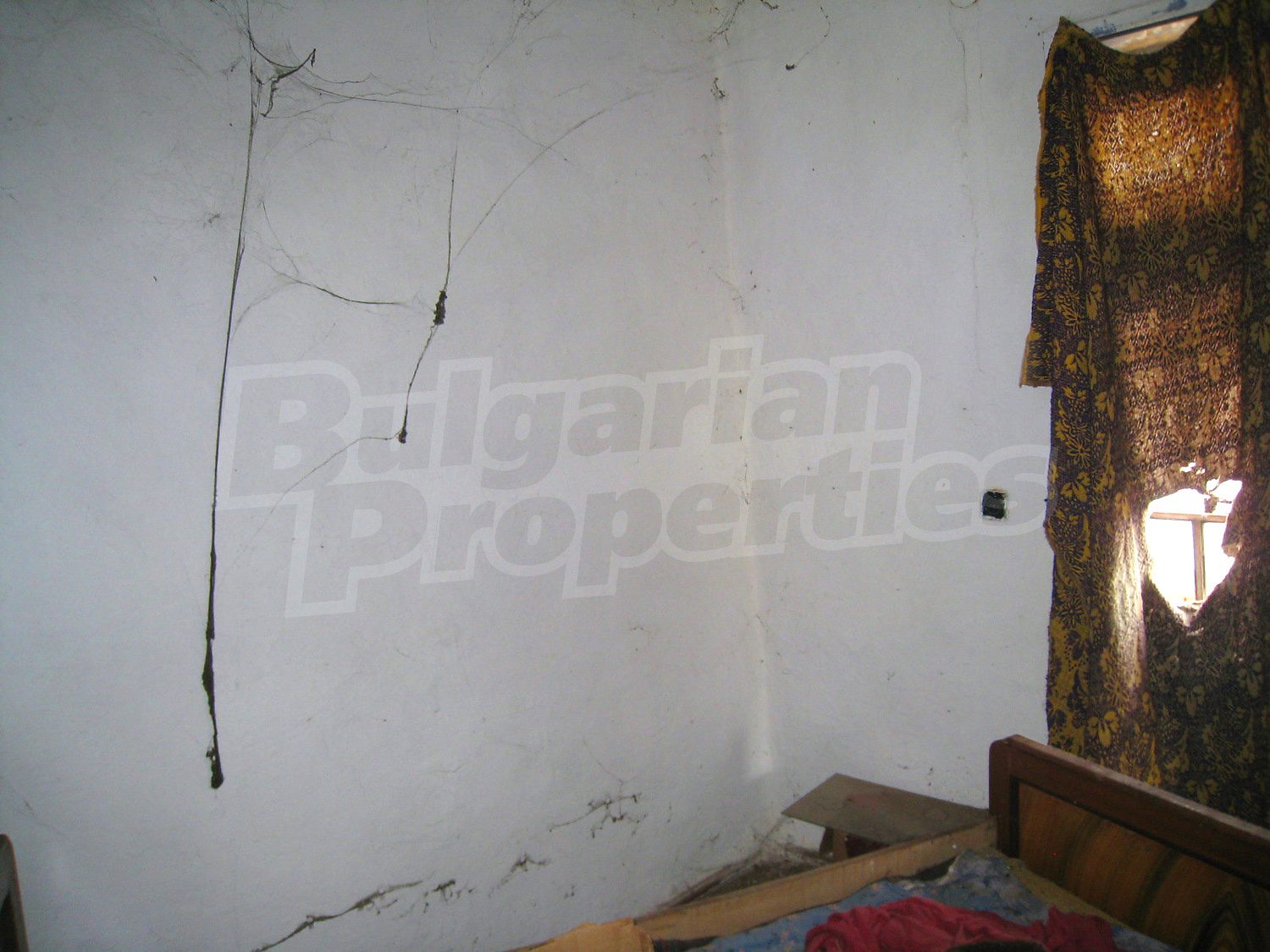 Gallery Picture 12