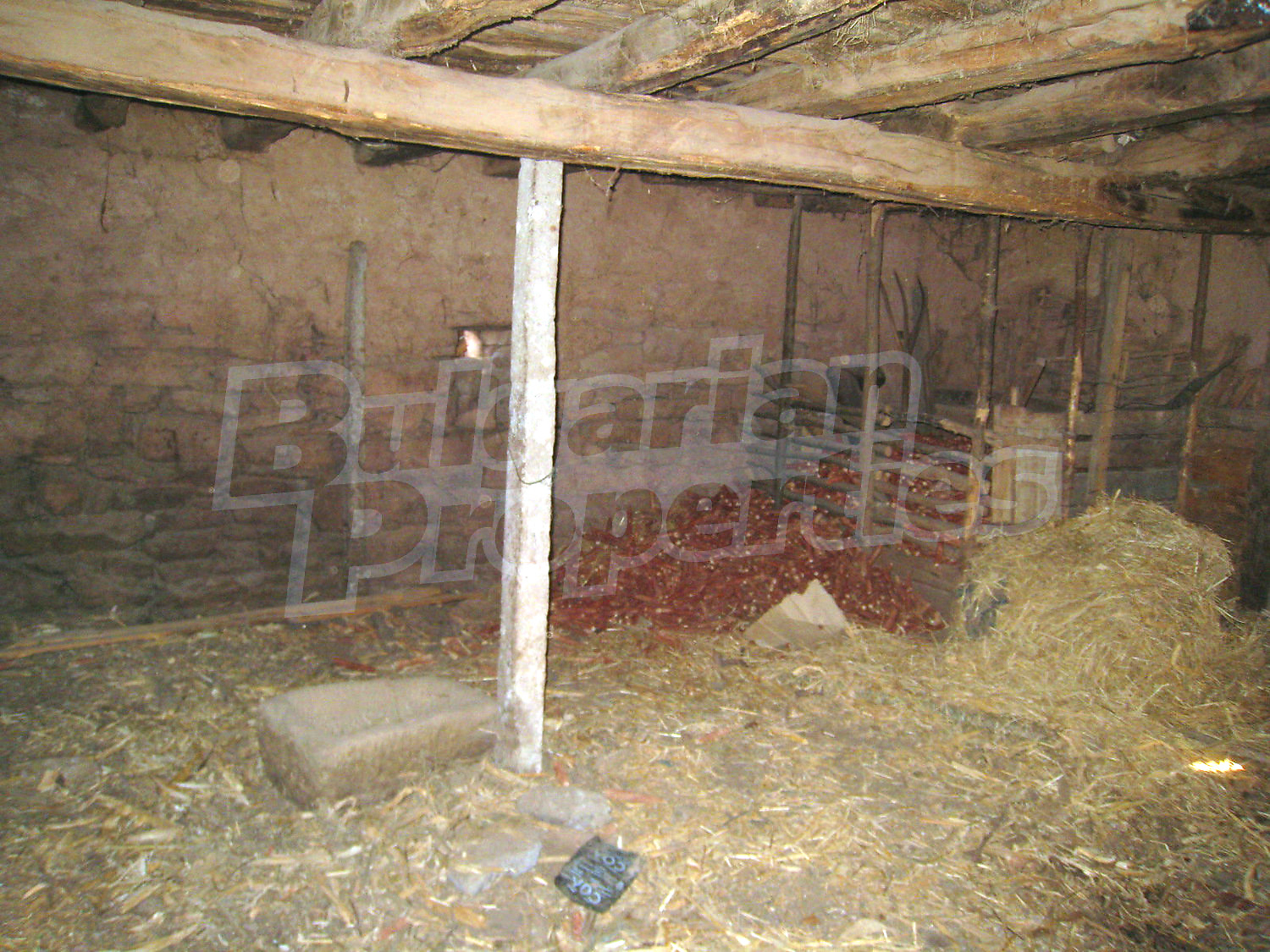 Gallery Picture 14