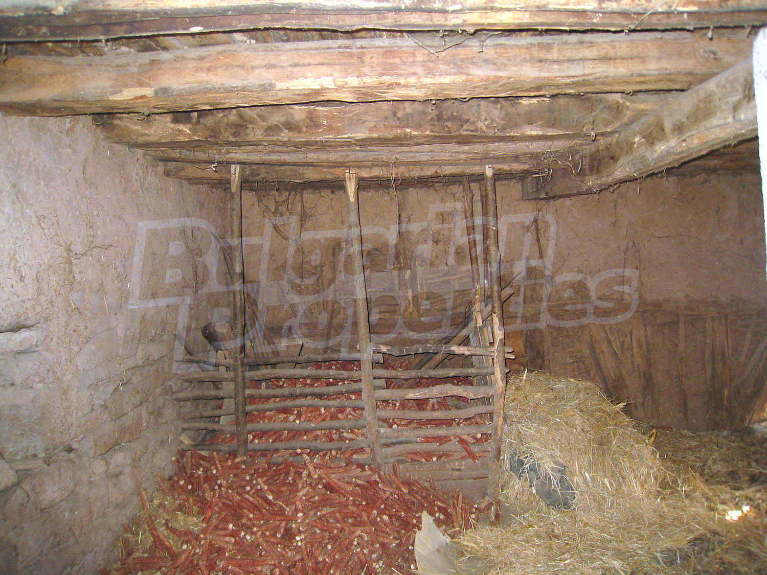 Gallery Picture 15