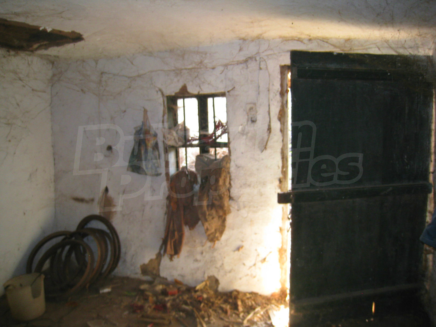 Gallery Picture 17
