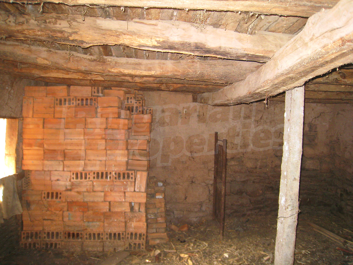 Gallery Picture 19