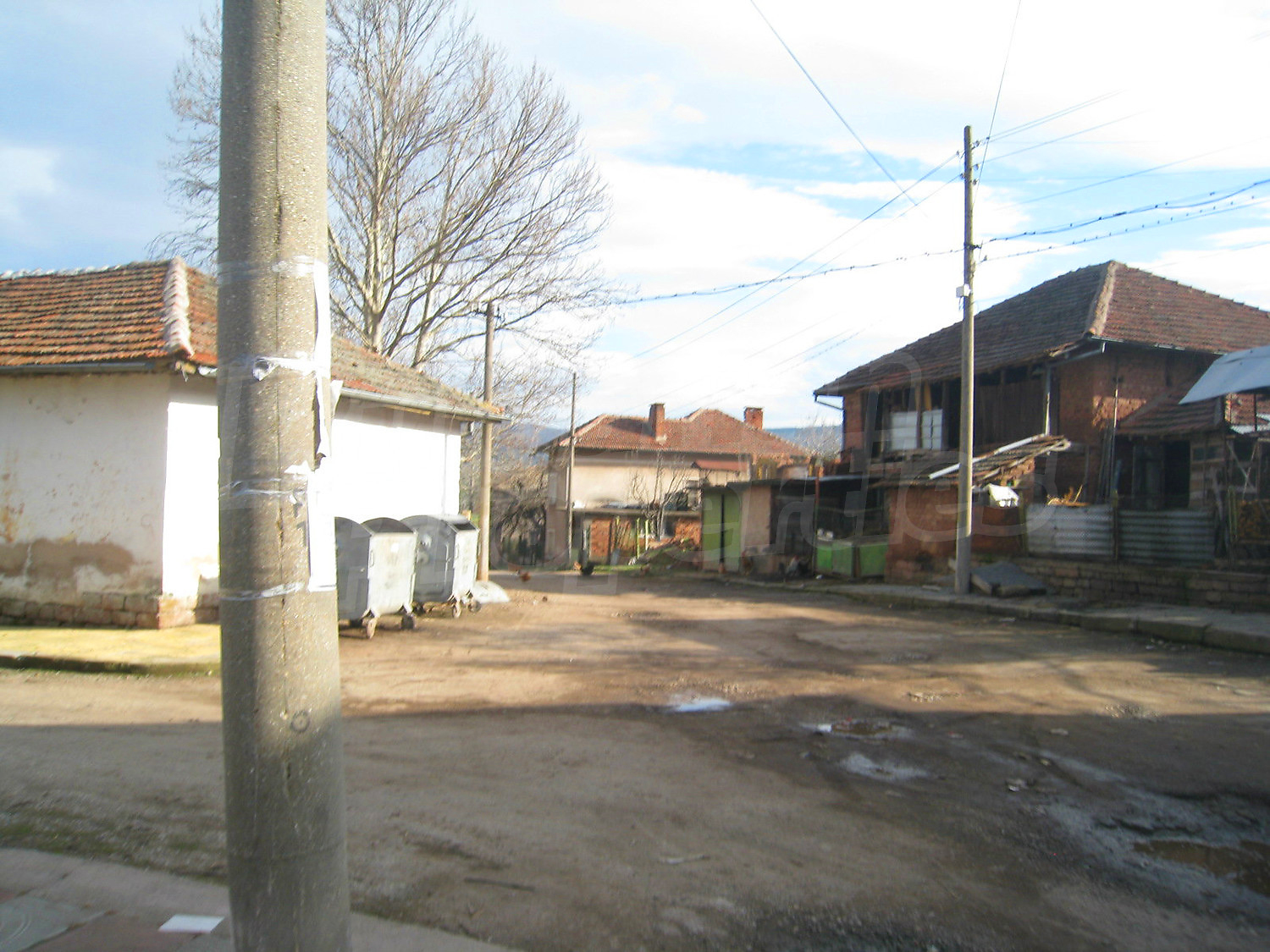 Gallery Picture 38