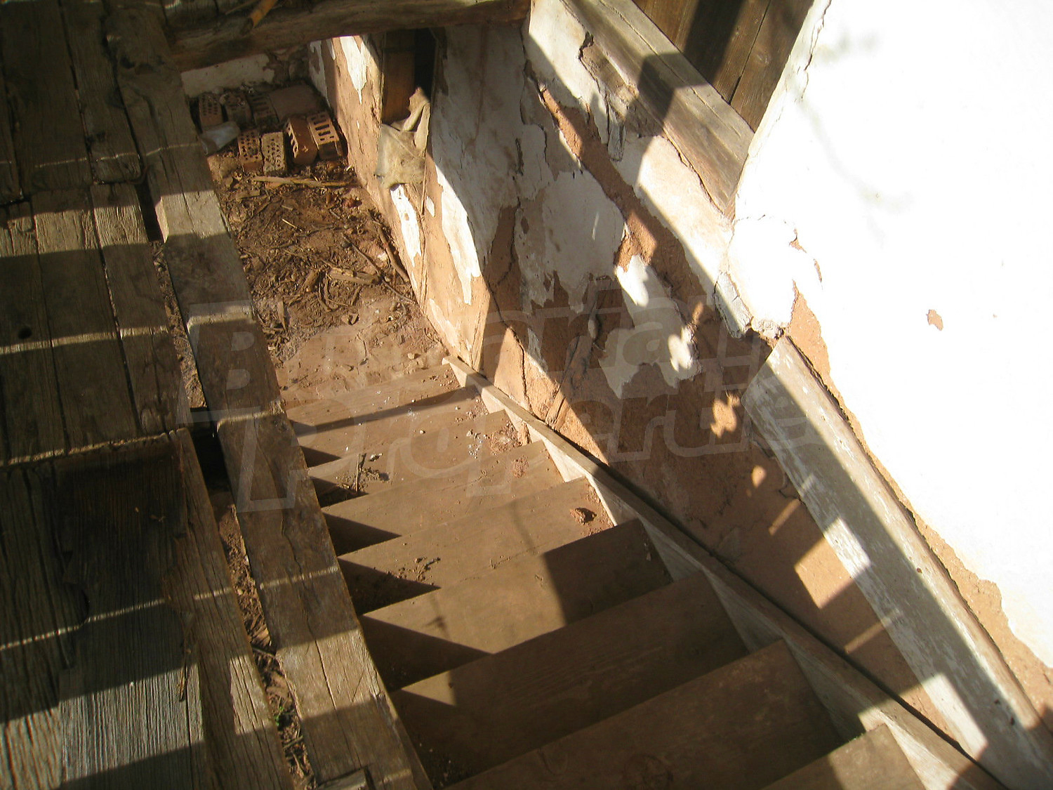 Gallery Picture 6
