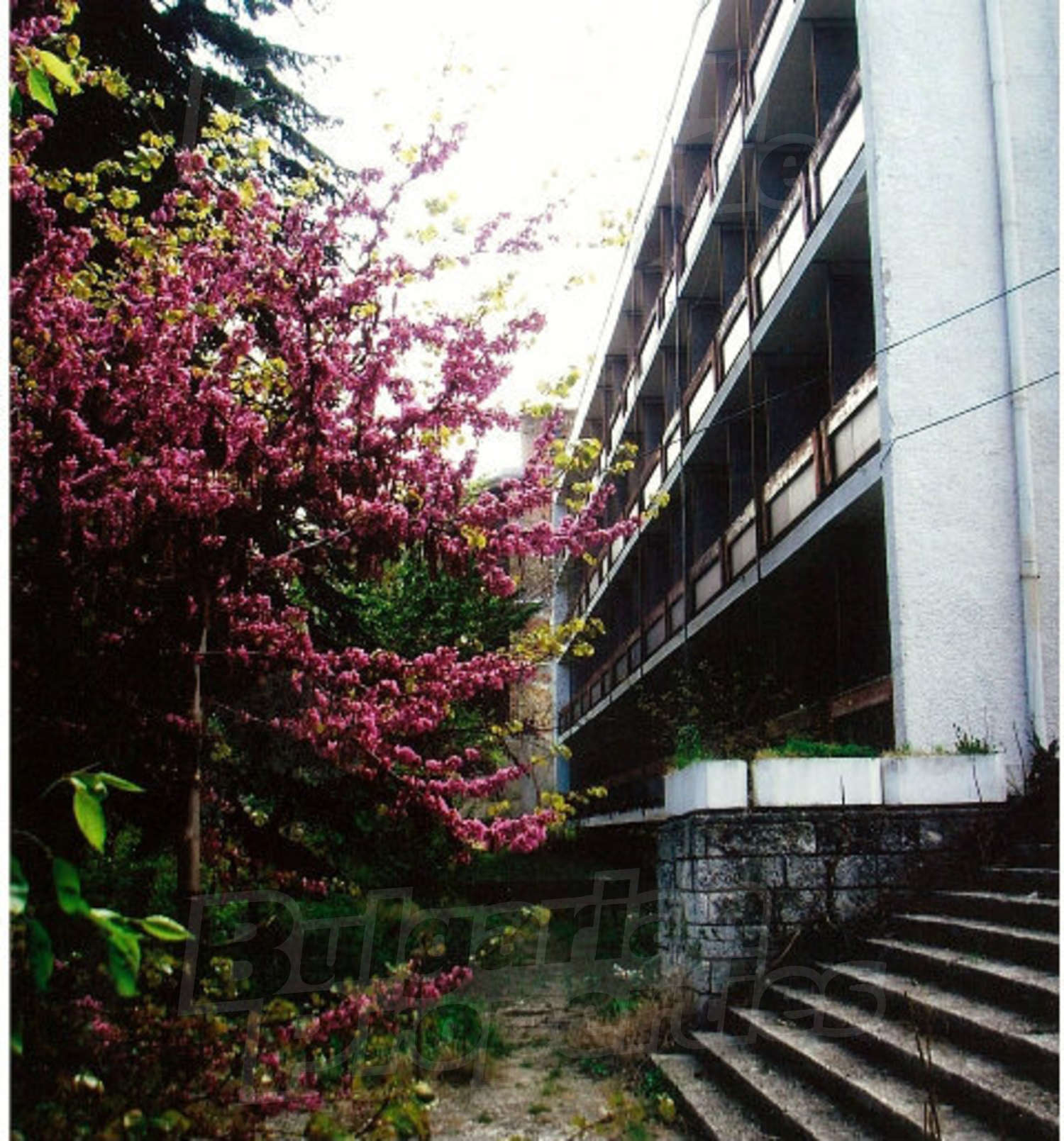 Gallery Picture 6