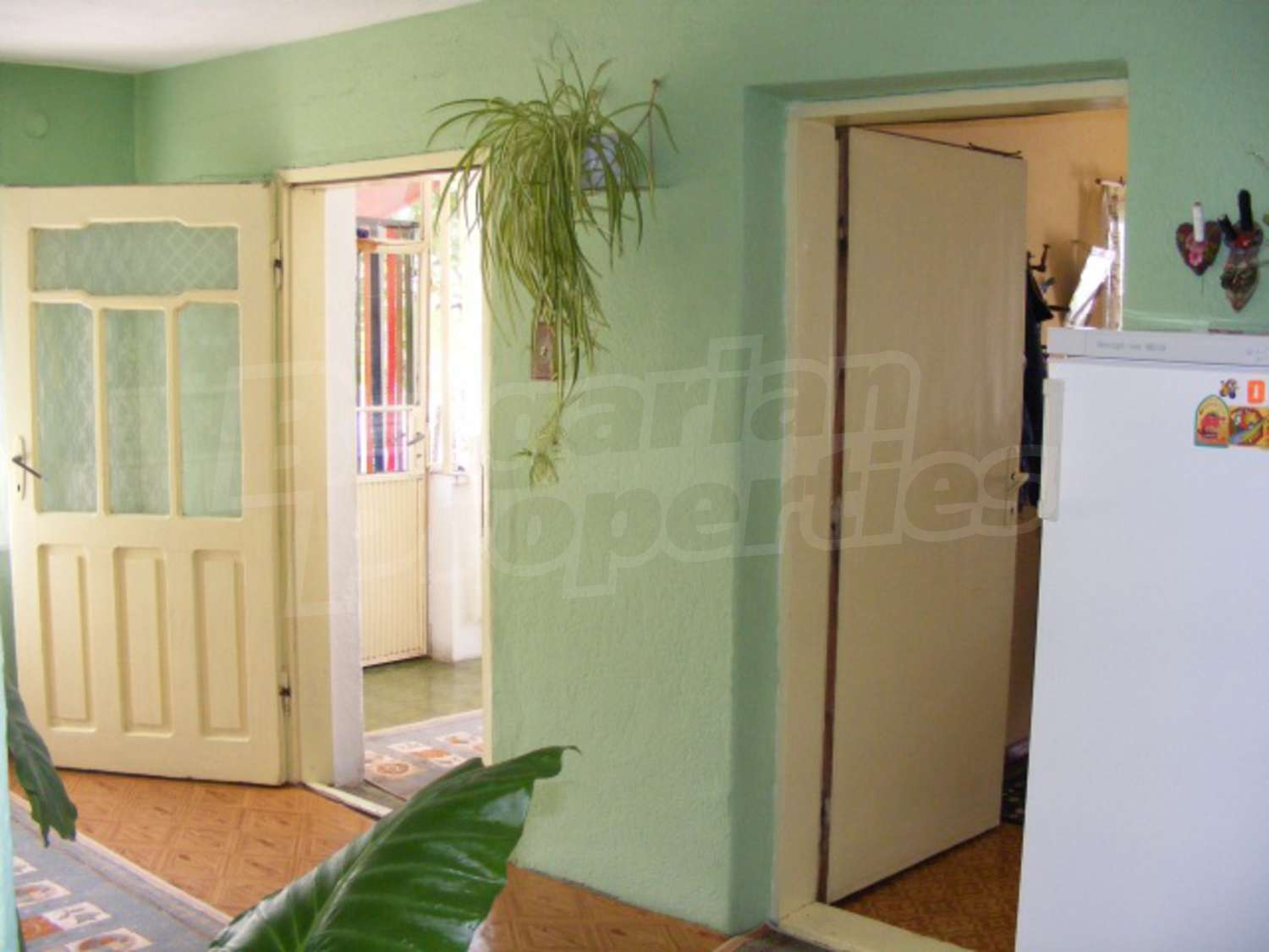 Gallery Picture 10