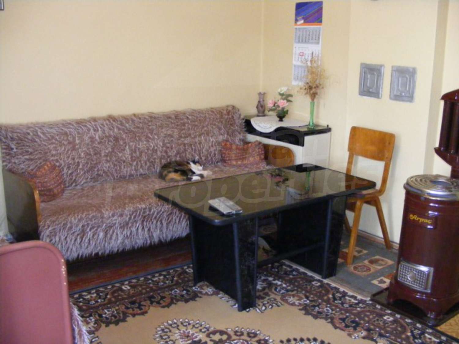 Gallery Picture 12
