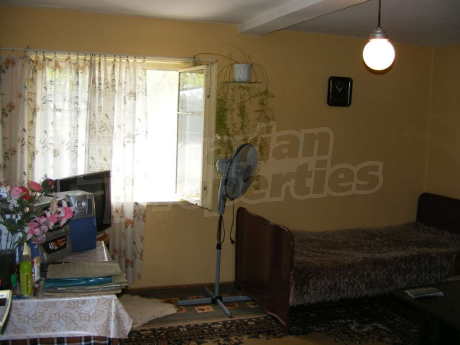 Gallery Picture 13