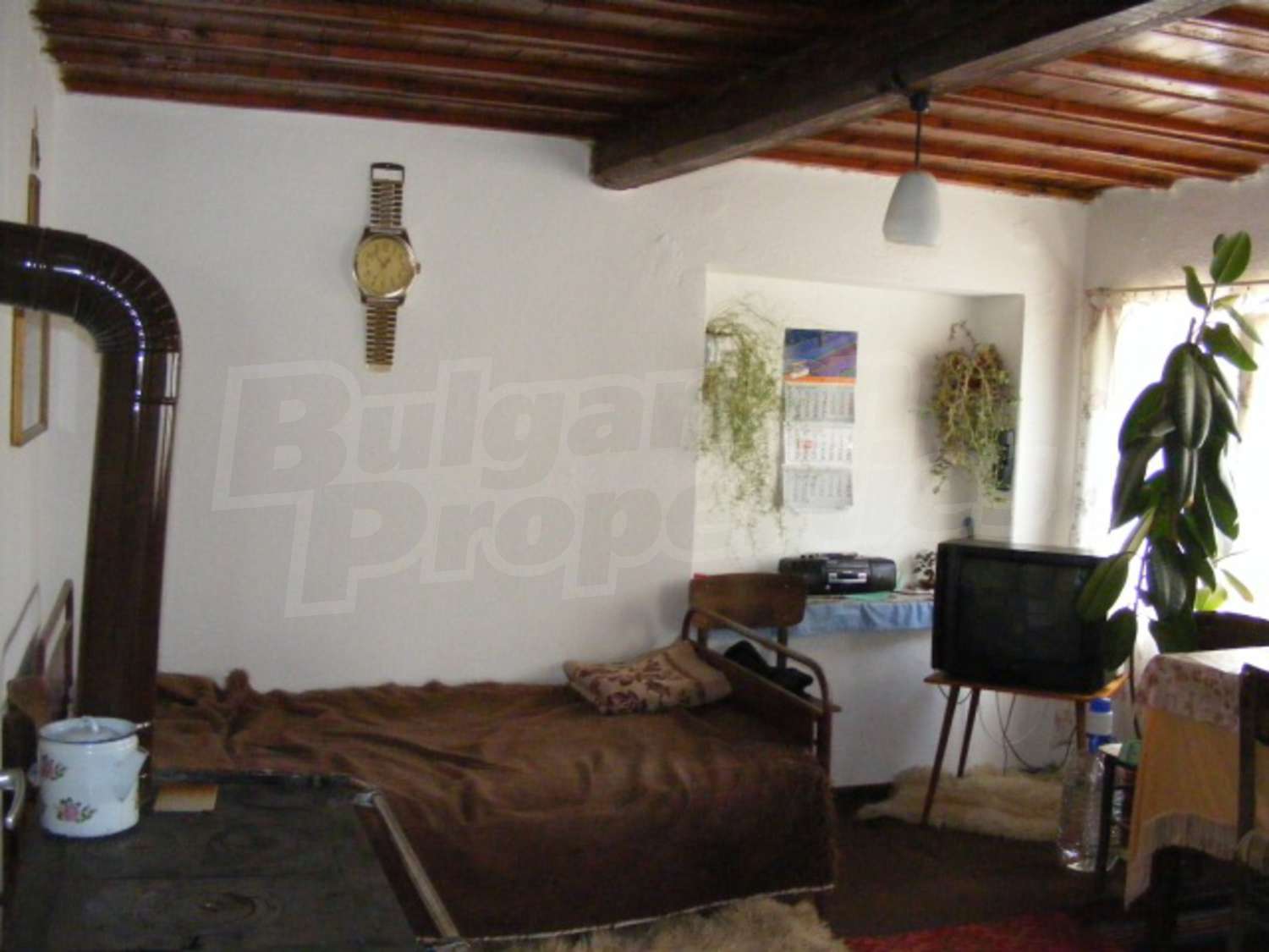 Gallery Picture 14