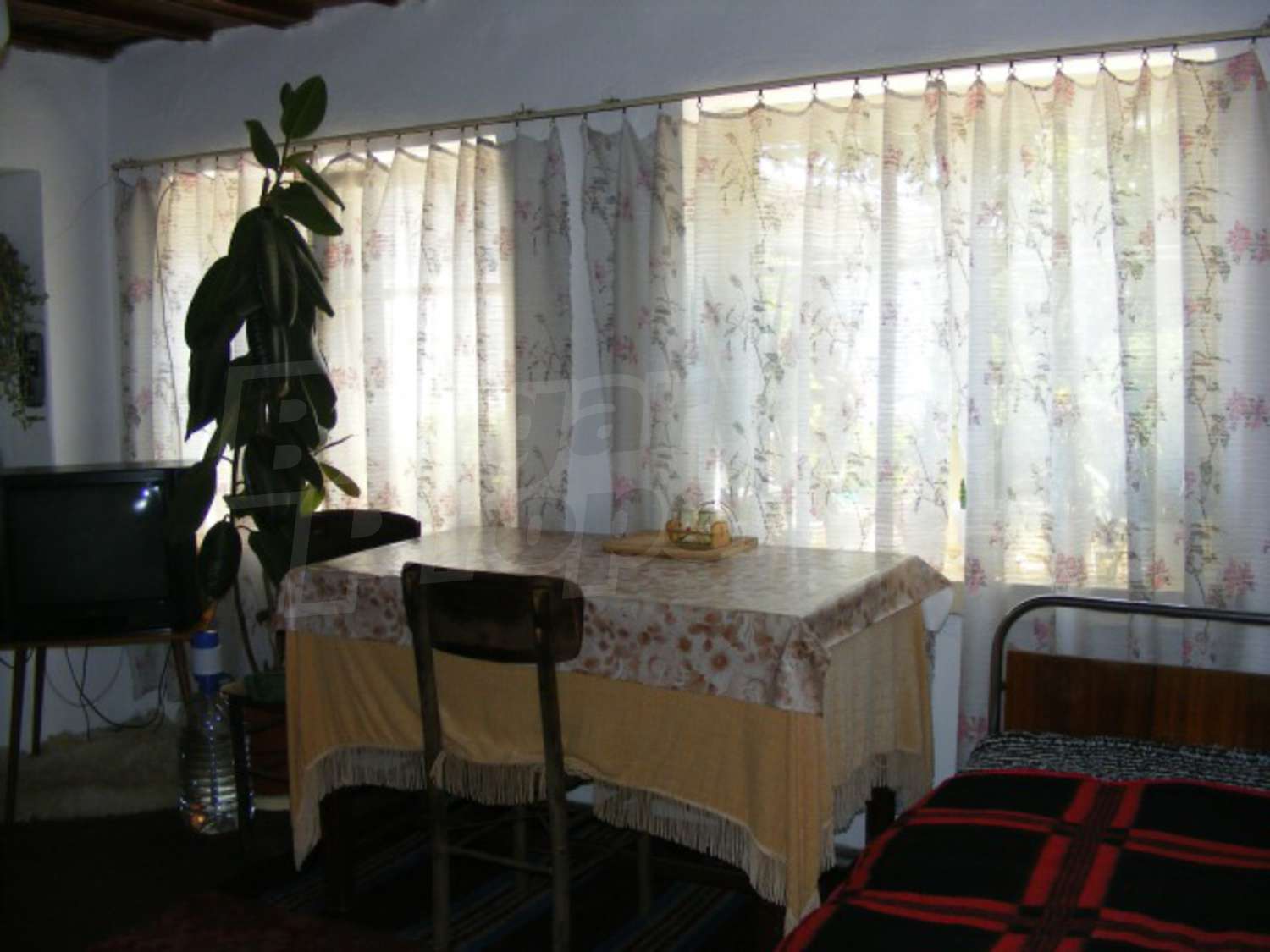 Gallery Picture 15