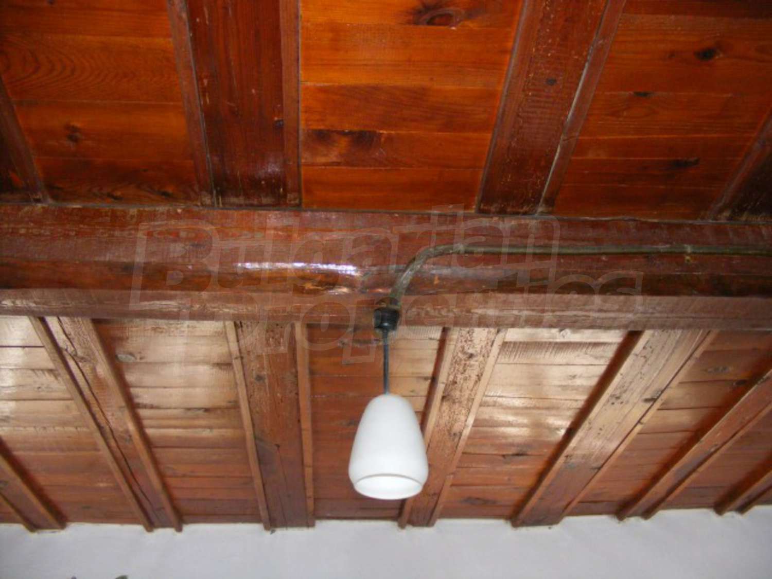 Gallery Picture 17