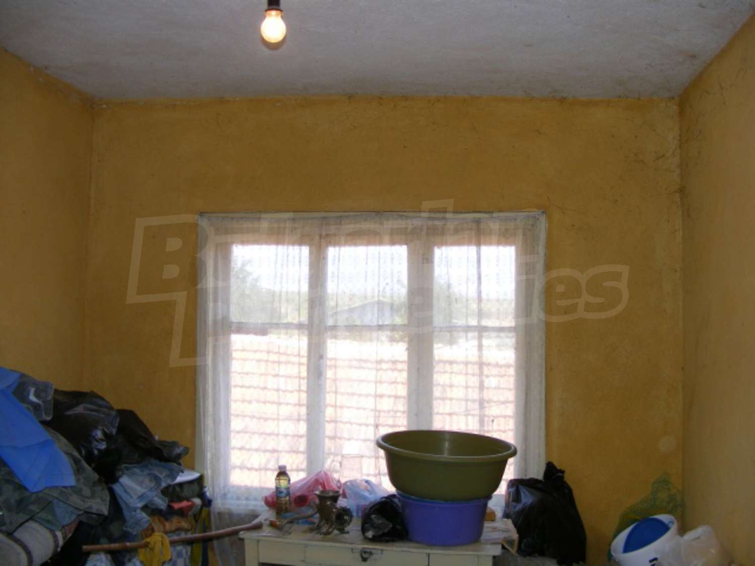 Gallery Picture 28