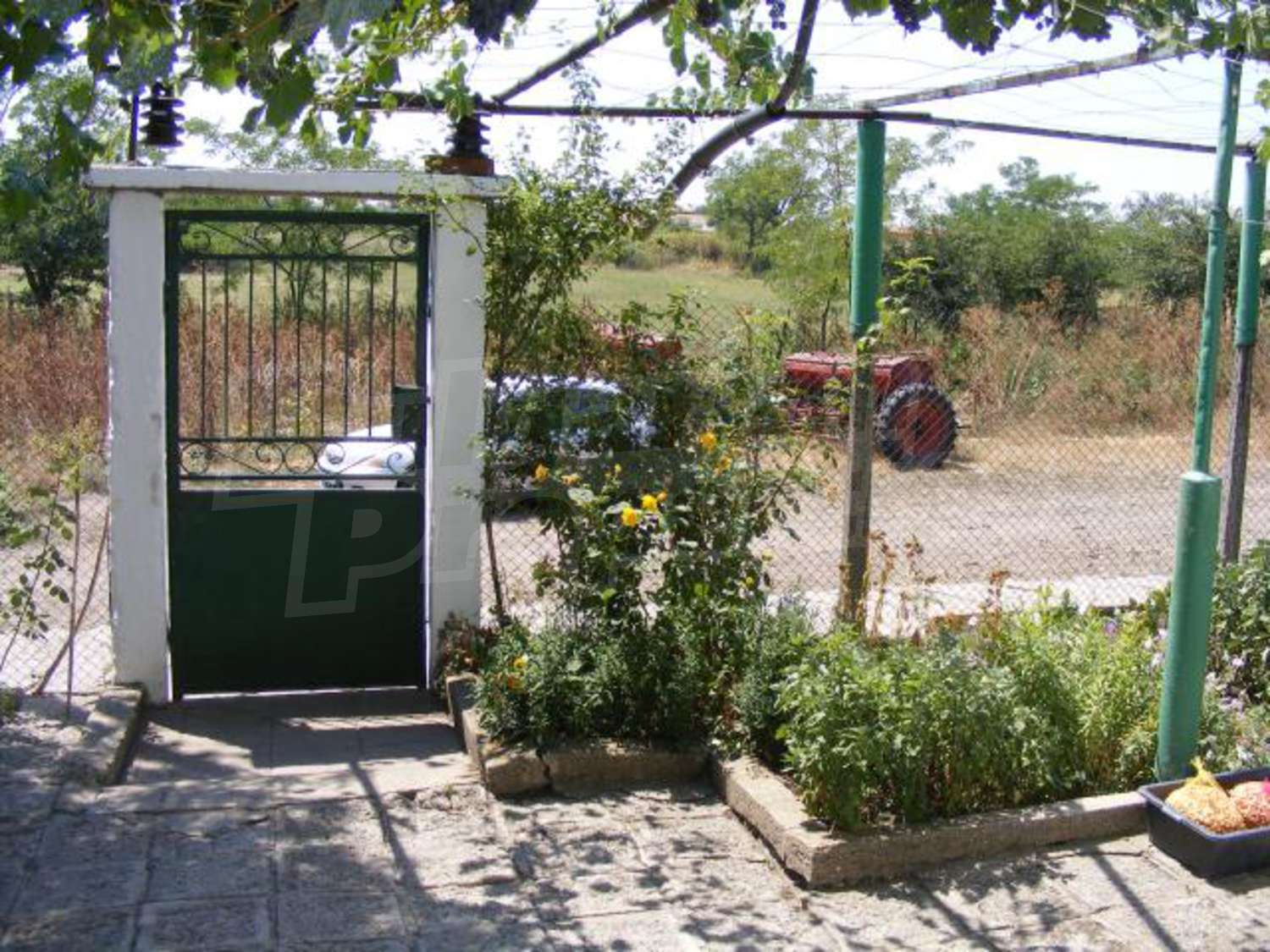 Gallery Picture 34