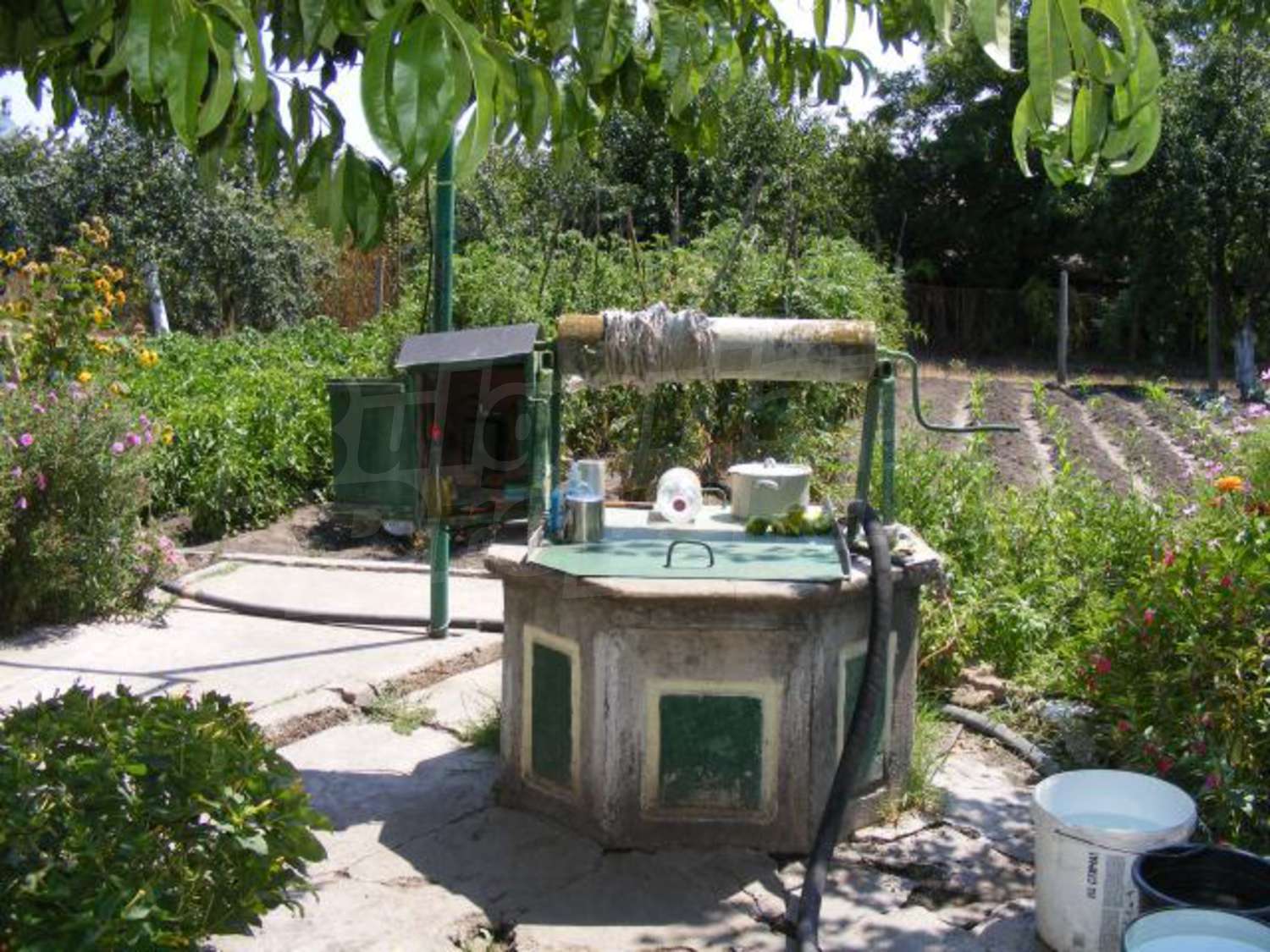 Gallery Picture 35