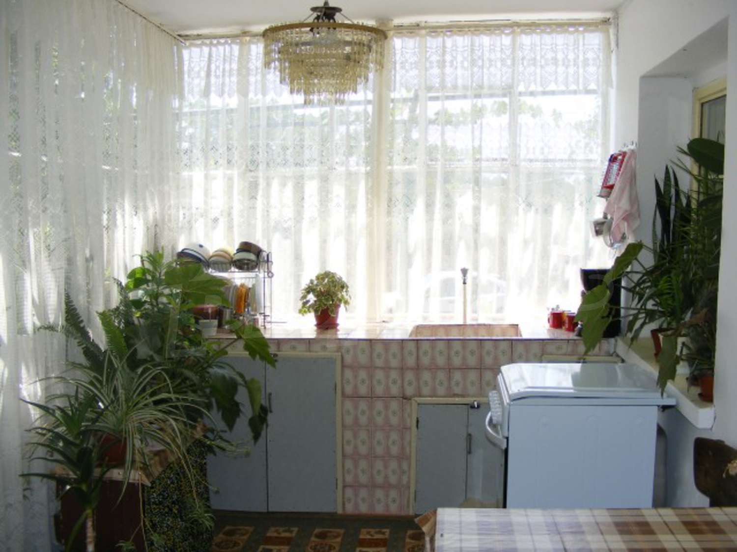Gallery Picture 6