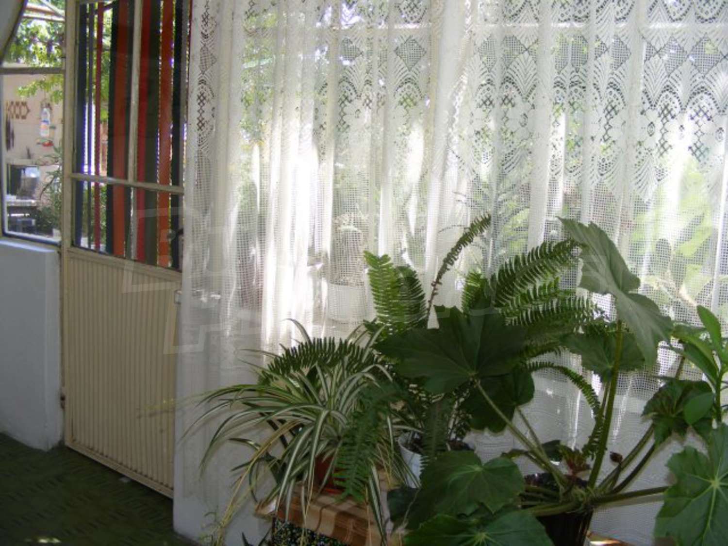 Gallery Picture 7