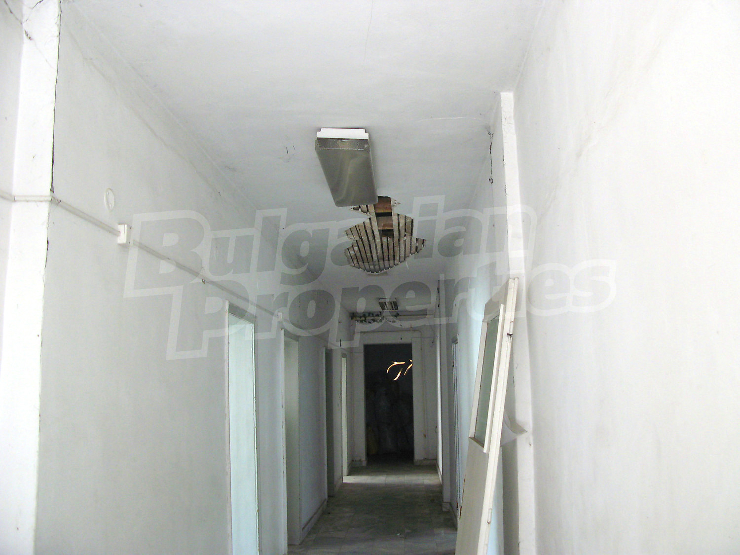 Gallery Picture 14
