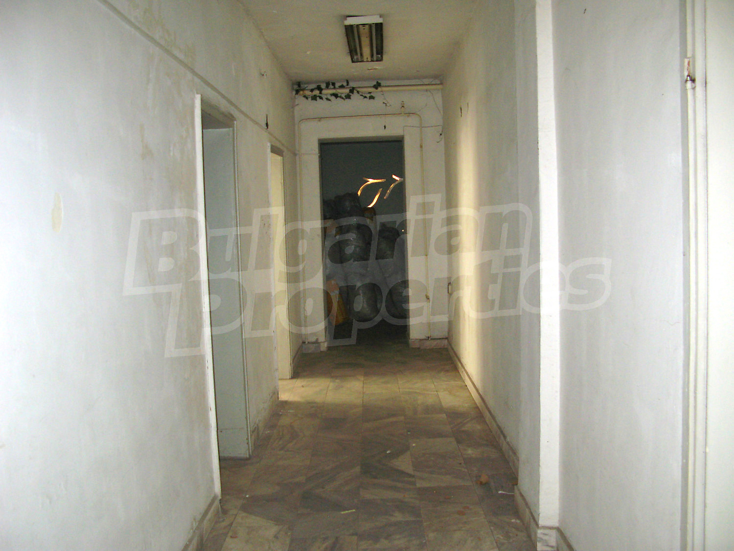 Gallery Picture 15