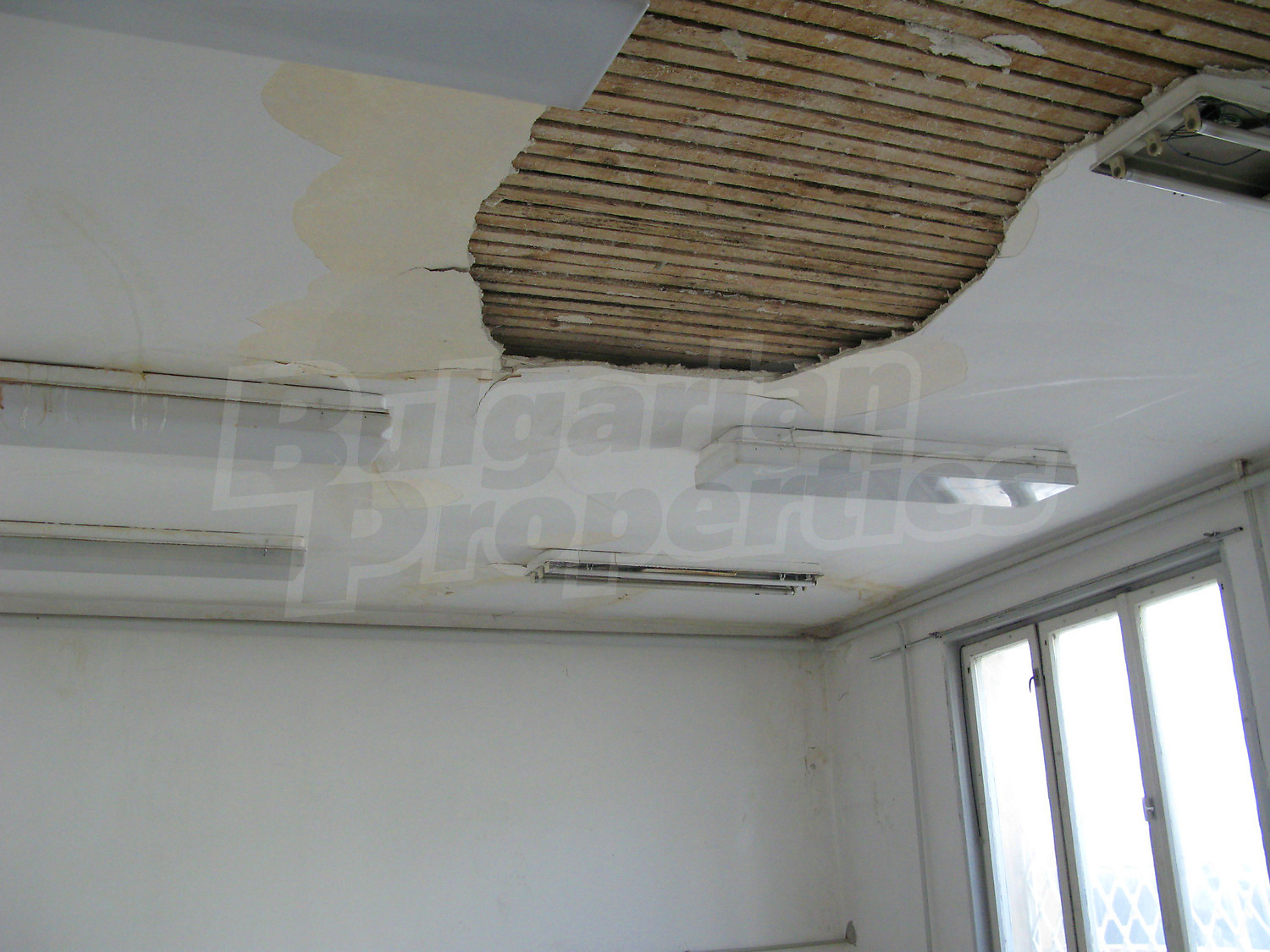 Gallery Picture 16