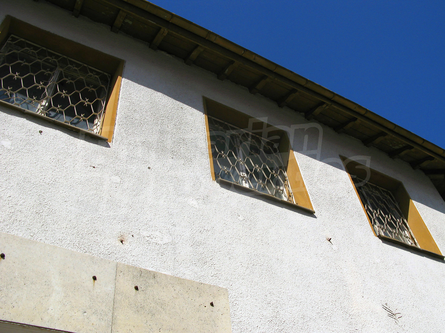 Gallery Picture 19