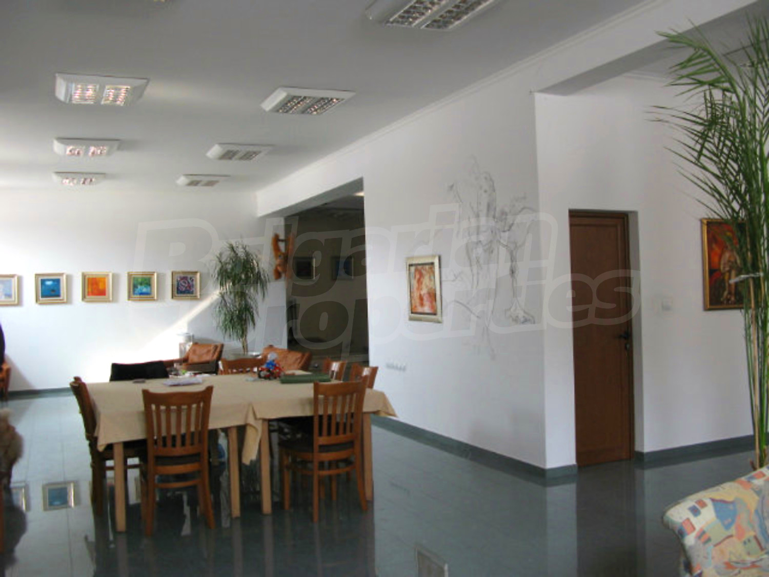 Gallery Picture 17