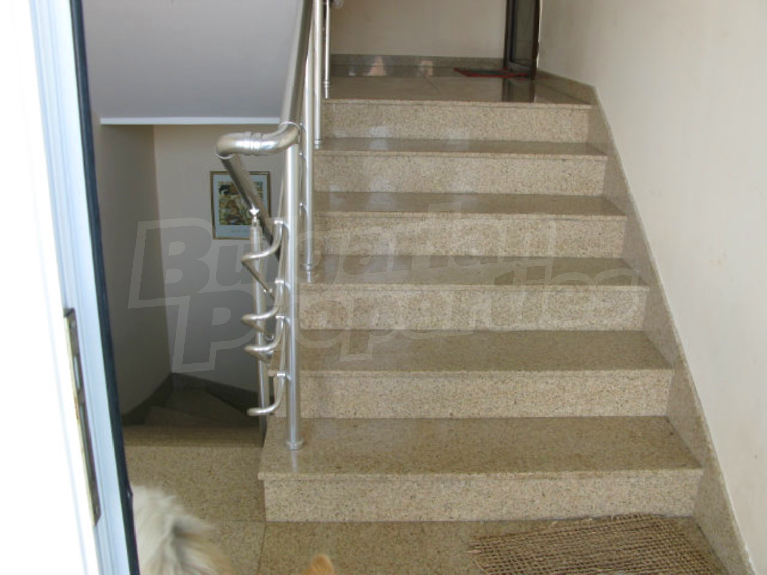 Gallery Picture 27