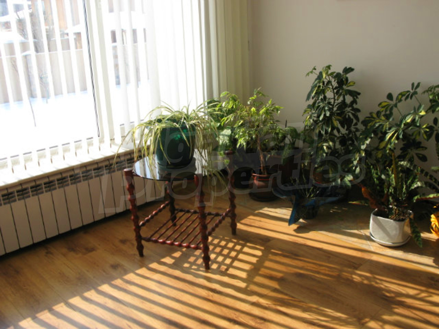 Gallery Picture 45