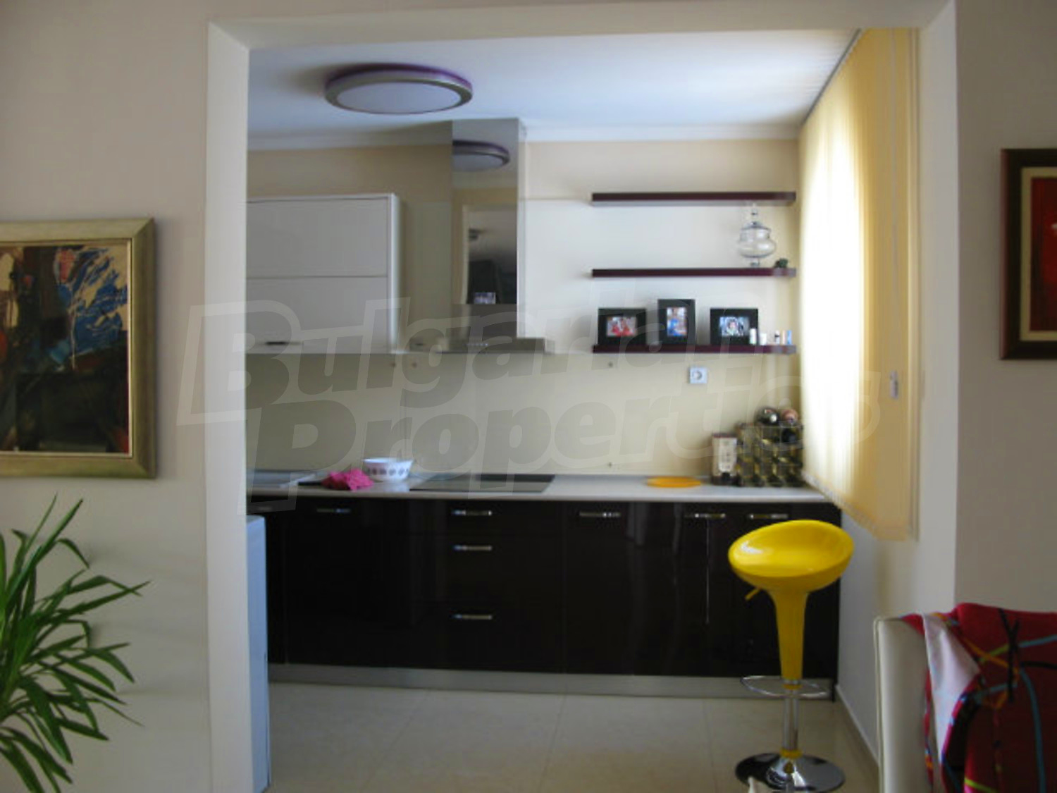 Gallery Picture 60