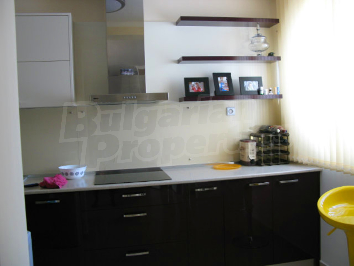 Gallery Picture 62
