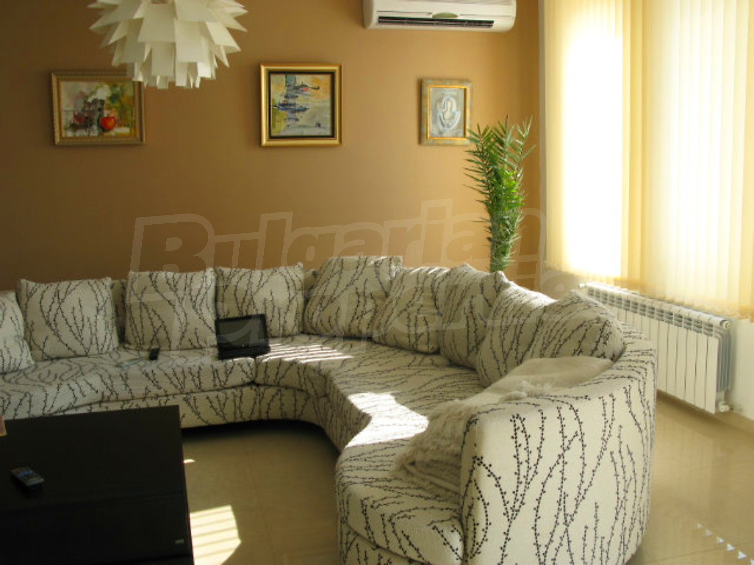 Gallery Picture 66