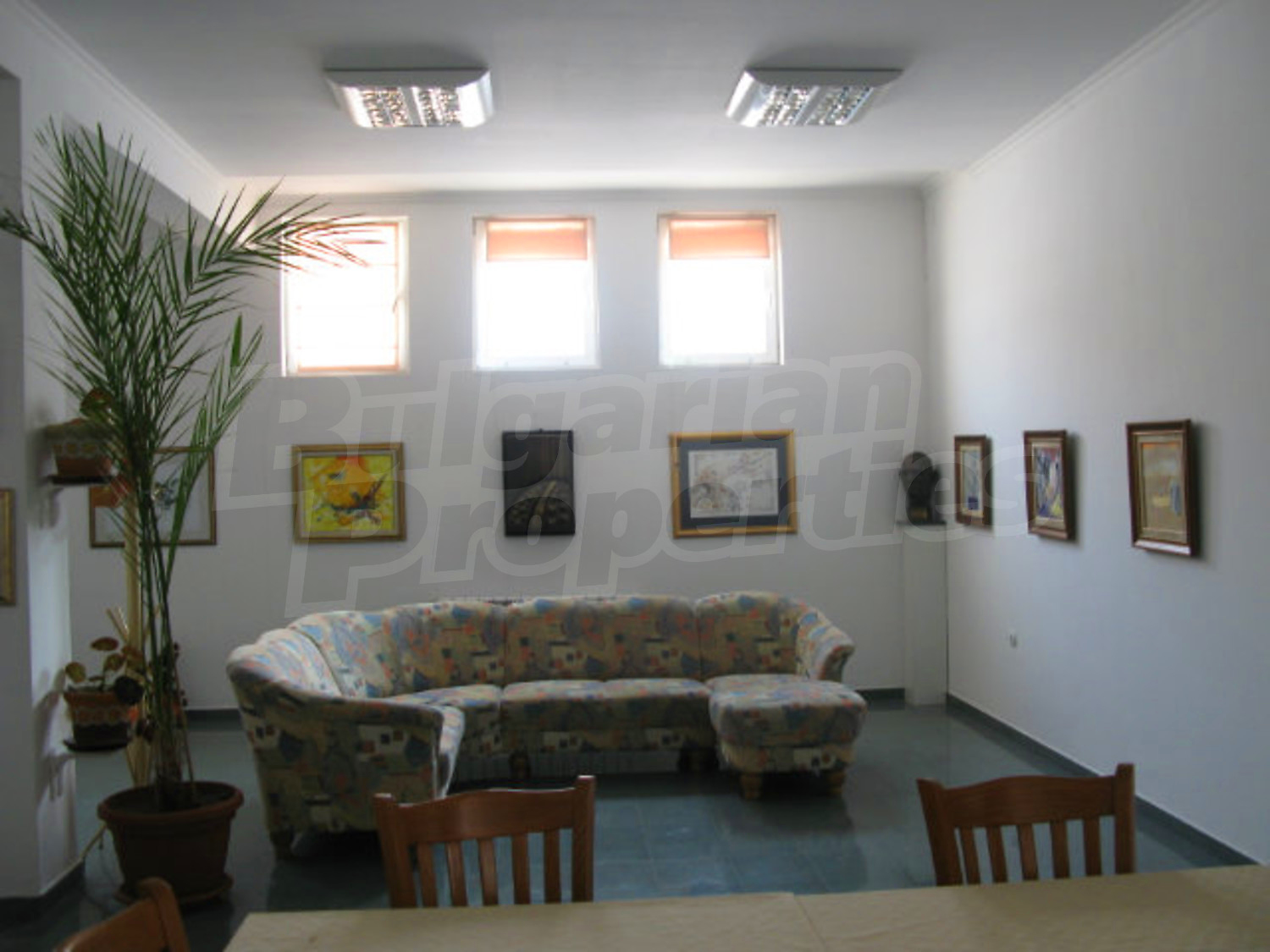 Gallery Picture 8