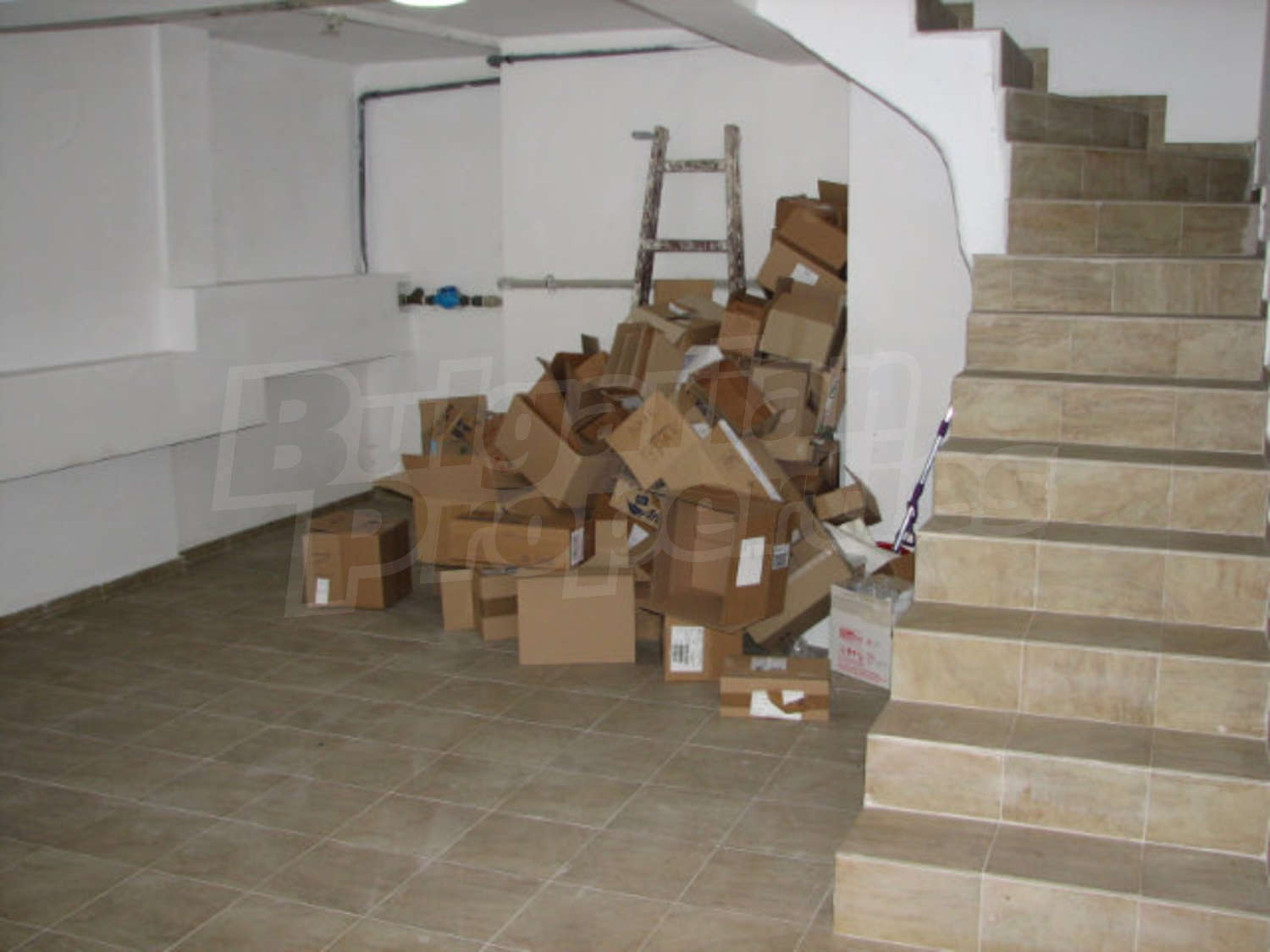 Gallery Picture 17