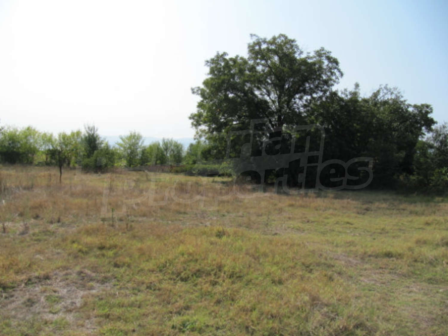 Gallery Picture 11