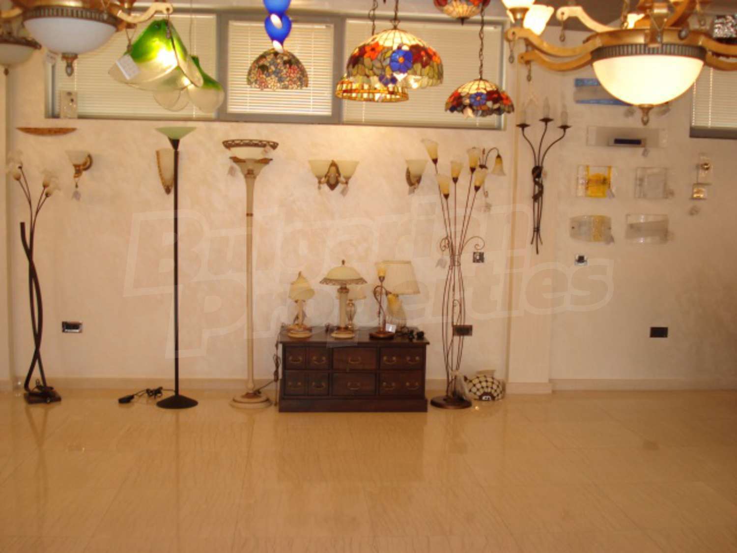 Gallery Picture 11