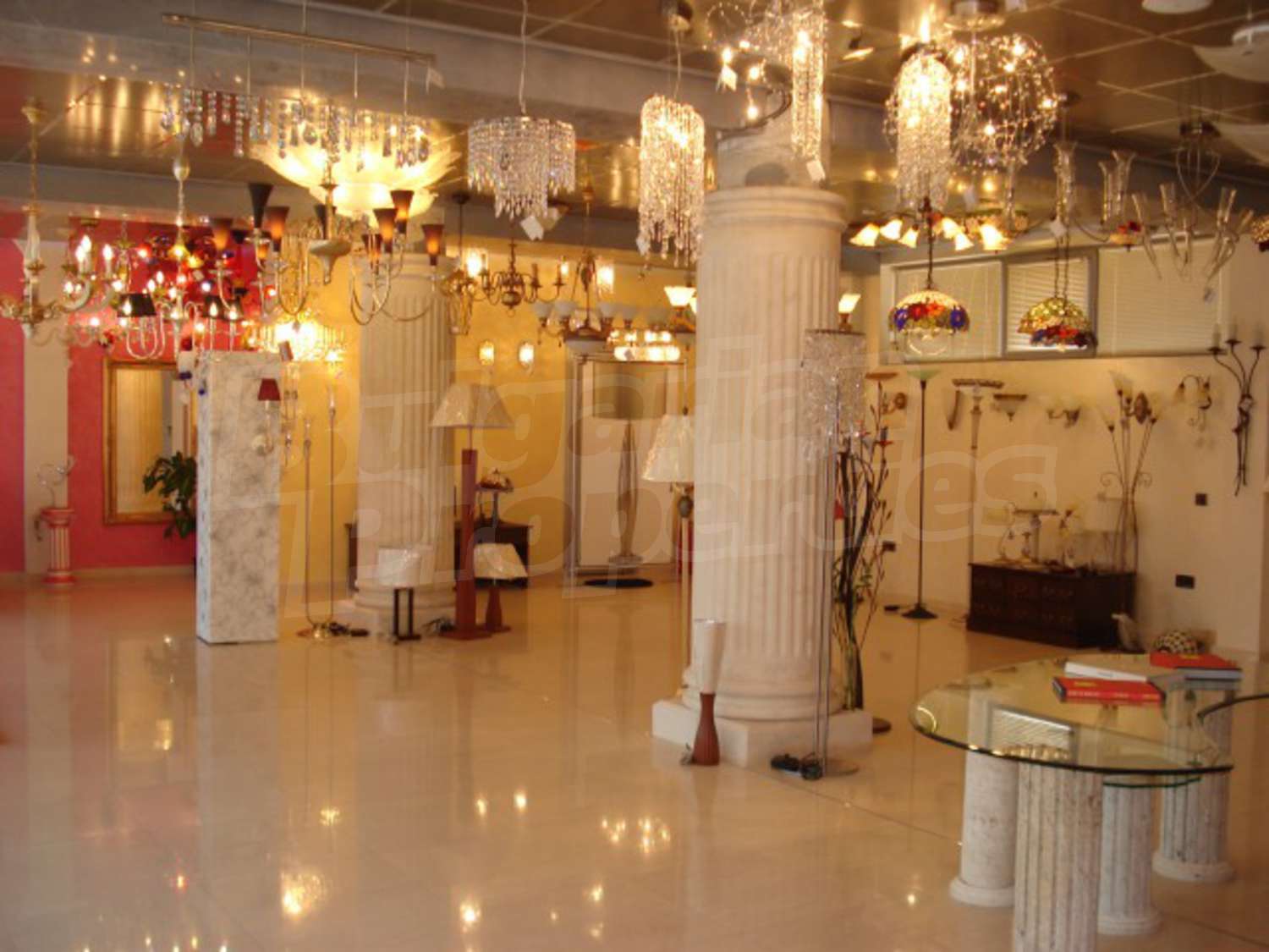 Gallery Picture 12