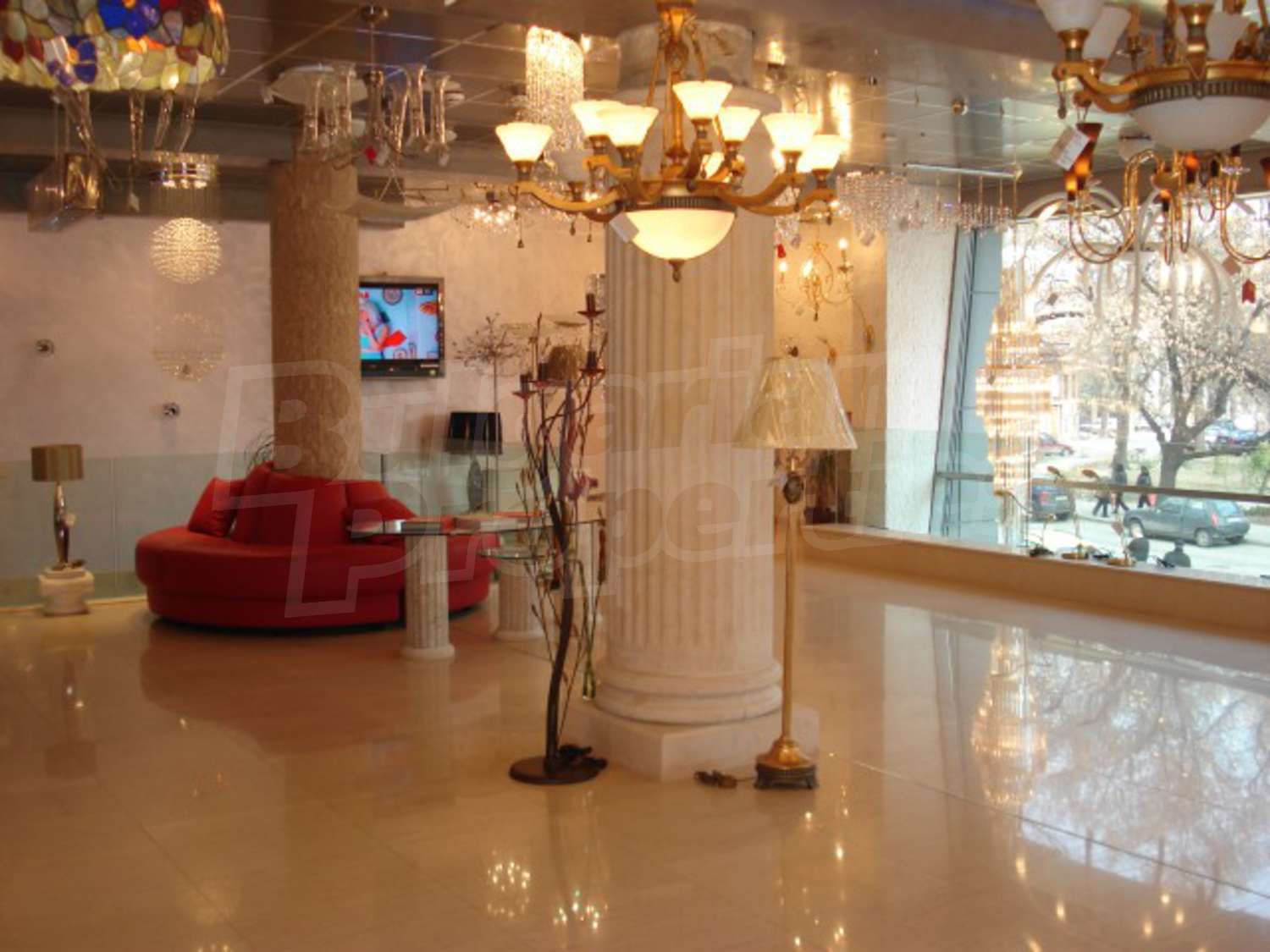 Gallery Picture 14