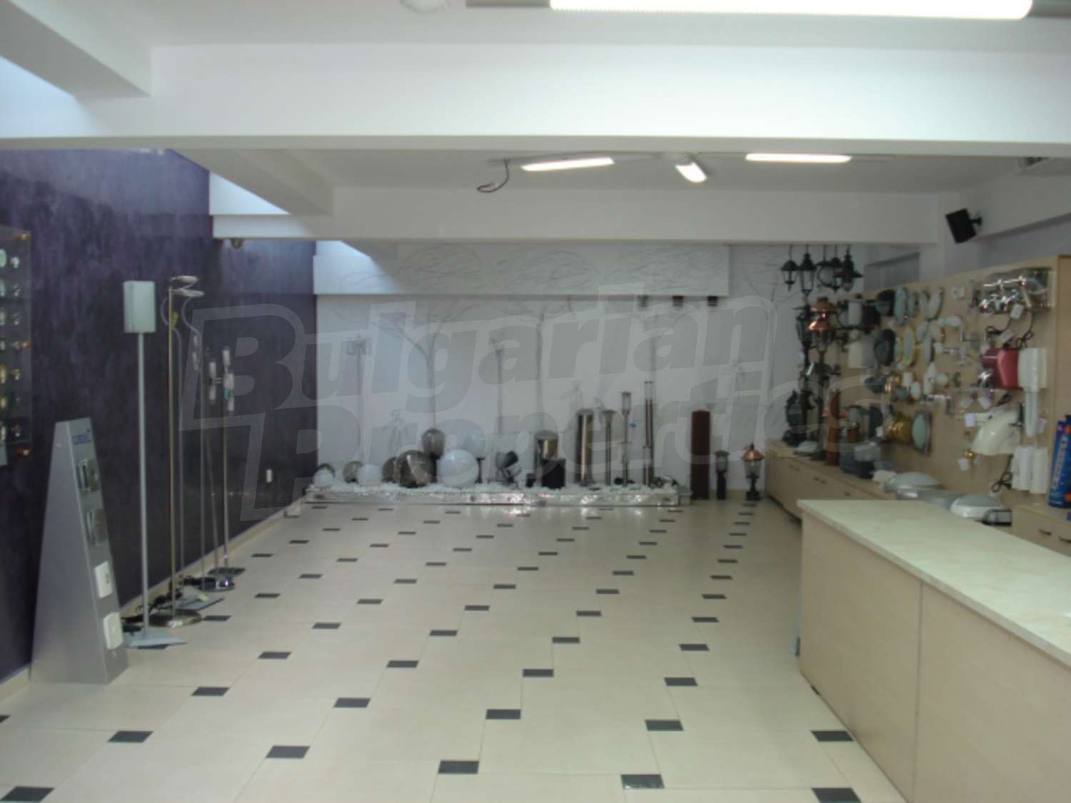 Gallery Picture 20