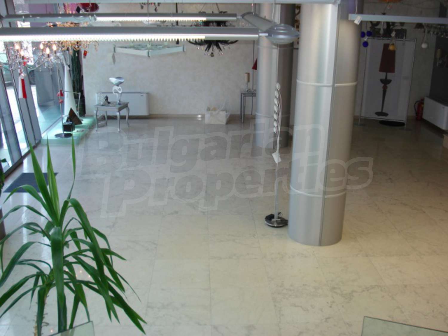 Gallery Picture 7