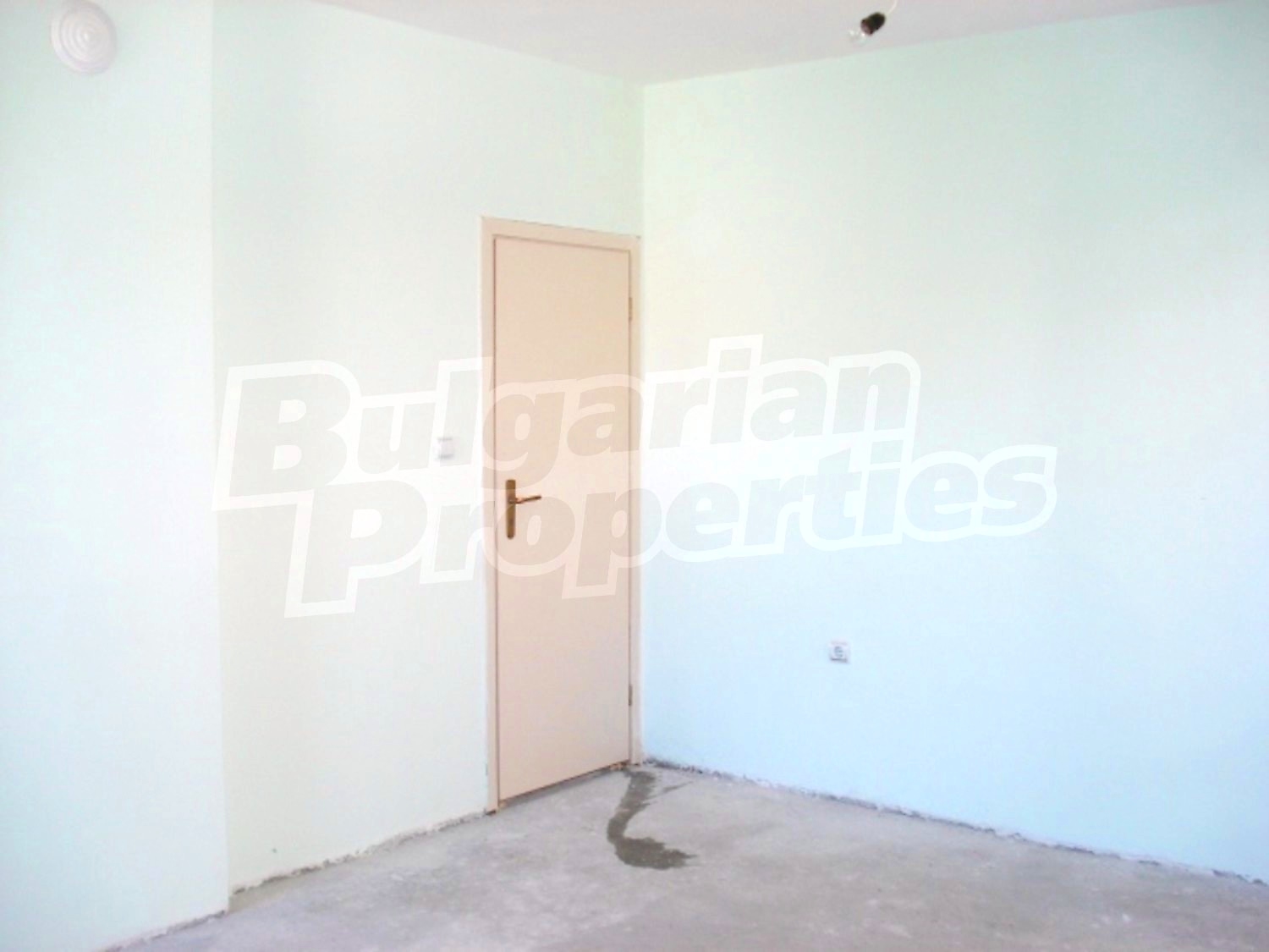 Gallery Picture 19