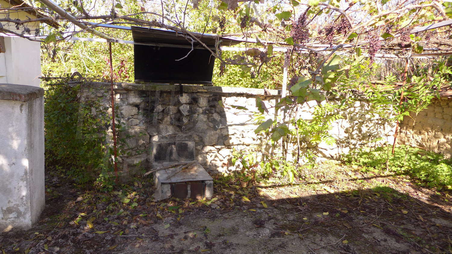 Gallery Picture 32
