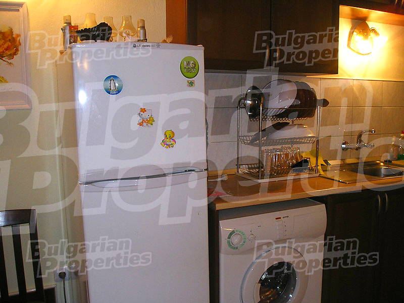 Gallery Picture 14