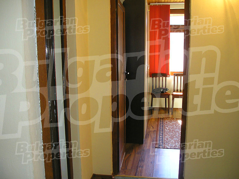 Gallery Picture 17