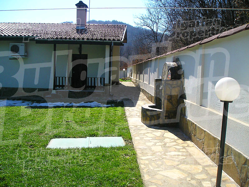 Gallery Picture 27