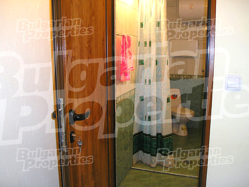 Gallery Picture 35
