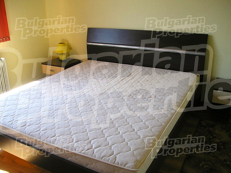 Gallery Picture 44