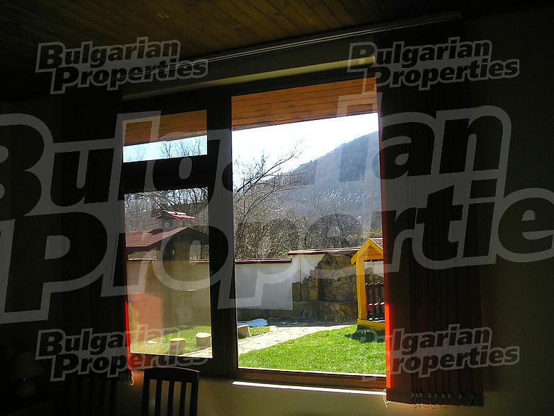 Gallery Picture 46
