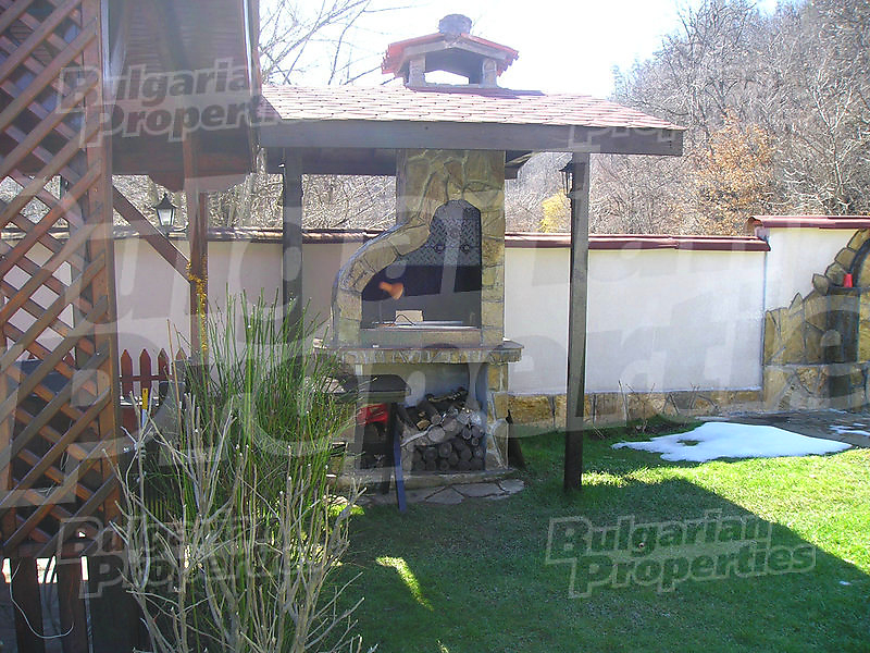 Gallery Picture 53